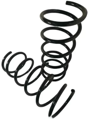 Пружины задние для Хендай Терракан 2001-2008