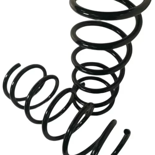 Пружины задние для Хендай Терракан 2001-2008