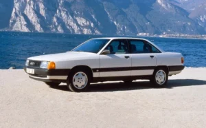 Пружины задние для AUDI 100 C3