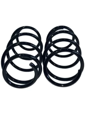 Пружины передние Фольксваген Е-Бора Volkswagen e-Bora