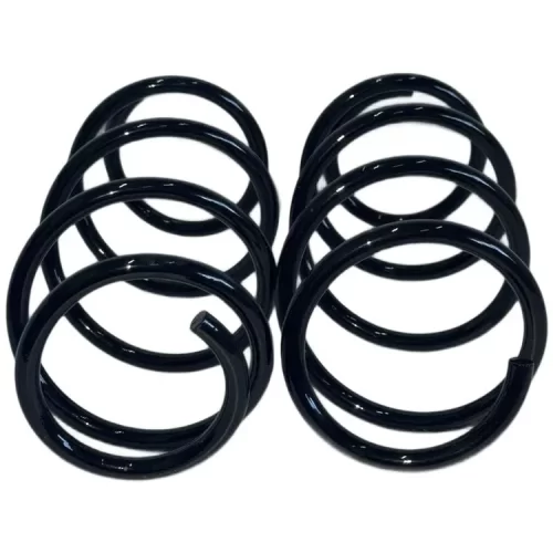 Пружины передние Фольксваген Е-Бора Volkswagen e-Bora