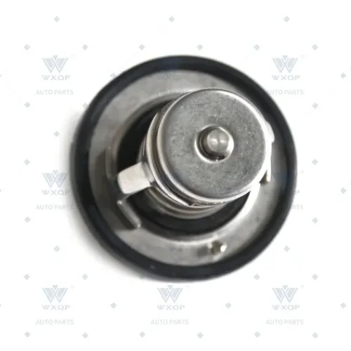 Термостат WXQP 10988