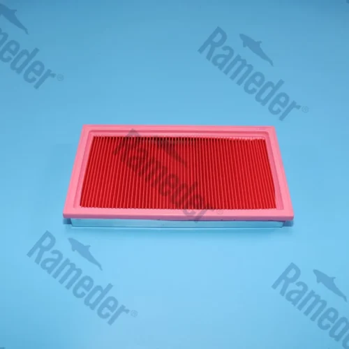 Фильтр воздушный RAMEDER 20C220006